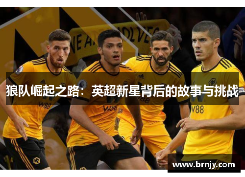 狼队崛起之路：英超新星背后的故事与挑战